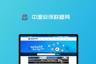 池州网站建设，助力企业数字化转型——司瓦图网络为您保驾护航